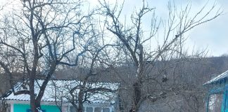 Moș Crăciun și Crucea Roșie Vrancea, daruri de 255.000 de lei în această iarnă