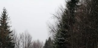 FOTO Utilajele drumarilor au ”măturat” praful de zăpadă de pe DN 2D