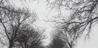 Vremea se schimbă din nou. Ne așteaptă două zile de frig și ninsori