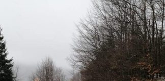 Vânt puternic în zona înaltă a județului Vrancea, fără restricții de circulație