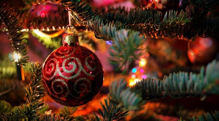 George Nica, primarul municipiului Adjud: La Mulți Ani!