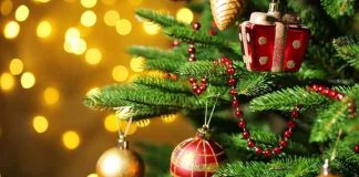 Fănică Popa, primarul comunei Bolotești: ”La Mulți Ani!”