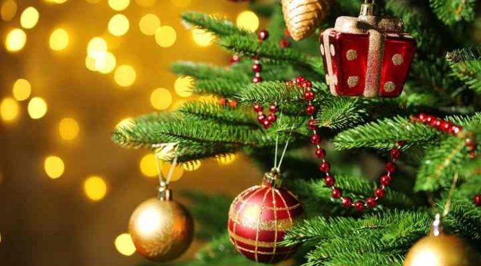 Gabriel Postolache, primarul comunei Țifești: Crăciun Fericit și La Mulți Ani!