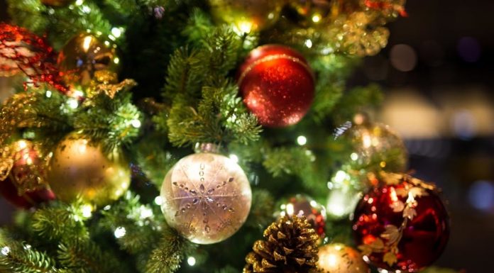 Răzvan Pascu, primarul comunei Măicănești: Crăciun Fericit și La Mulți Ani!