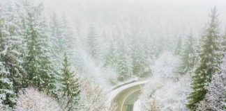 Peste 200 de polițiști vrânceni la datorie, în perioada Anului Nou