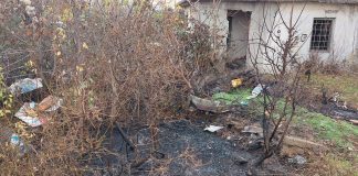 Au dat foc la resturi vegetale, iar flăcările s-au extins și la un imobil