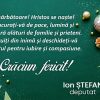ion stefan carton