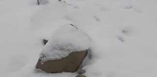 Proiectil găsit la Bârsești, în albia râului Putna