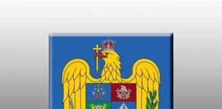 VIDEO Urări de Crăciun cu luminile autospecialelor MAI