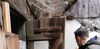 Un urs a încercat să intre în casa unor bătrâni din Soveja