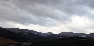 Cod galben de vânt în Munții Vrancei