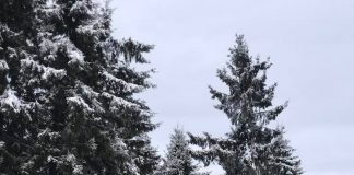 FOTO Moș Nicolae poate veni cu sania în Munții Vrancei