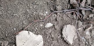 Siturile arheologice din Vârteșcoiu, cercetate de specialiști