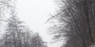Meteo: alerte de viscol pe crestele montane, până în dimineața Crăciunului
