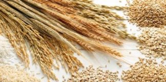 Fiscul a stabilit prețurile medii valabile la produsele agricole pentru 2022