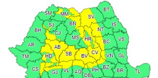 Cod galben de vânt în zonele montane