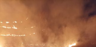FOTO-VIDEO Al treilea incendiu de vegetație uscată, în două săptămâni, la Dumitrești. Aseară au ars circa 30 de hectare