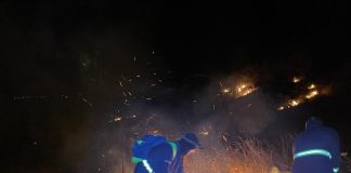 Zeci de hectare de vegetație uscată arse în ultimele zile