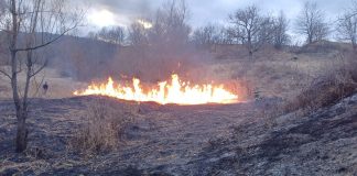 FOTO Incendiu de vegetație uscată la Vizantea-Livezi