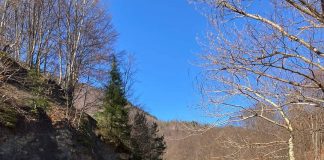 Jandarmii, weekend încărcat în acțiuni de menținere a ordinii