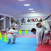 karate aiko