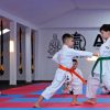 karate aiko 4