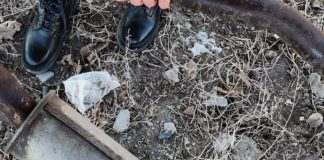 Tineri arestați la Focșani pentru furturi de catalizatori