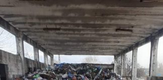 FOTO Mormane de gunoaie și sursă de infecție la marginea Adjudului