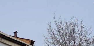 Iluminatul public din Focșani va funcționa și ziua. Ce motiv invocă Primăria