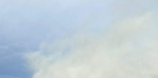 FOTO VIDEO Incendiu la o fermă din Gugești. Animalele au fost salvate