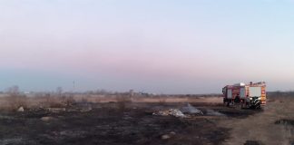 Lan de grâu cuprins de flăcări