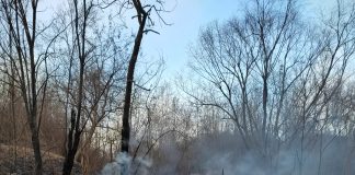 VIDEO Un nou incendiu de vegetație la Dumitrești. De data aceasta, focul a cuprins și o casă