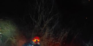 Alte 50 de hectare de vegetație au ars în județ