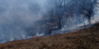 ISU Vrancea: 11 incendii în ultimele 24 de ore, care au afectat două construcții și 50 ha de vegetație