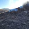 incendiu vegetatie (4)