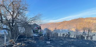 FOTO Incendiile de vegetație uscată au lăsat o familie fără acoperiș deasupra capului
