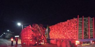 Acțiuni IPJ Vrancea în sectorul silvic: amenzi de 60.000 lei și confiscări de lemne de peste 620 mc