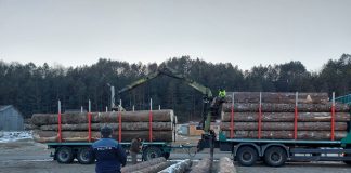 Bilanț IPJ Vrancea: confiscări de țigări și de lemne în 2022