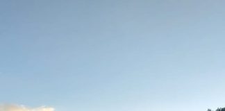 IPJ Vrancea: controale în sectorul silvic, soldate cu amenzi și confiscări de lemne