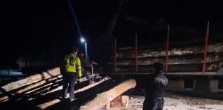 Confiscări de lemne, amenzi și dosare penale în urma controalelor din sectorul silvic derulate polițiști în ultimele două săptămâni