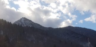 Proiectul de modernizare a Păstrăvăriei Lepșa, mai aproape de scoaterea la licitație