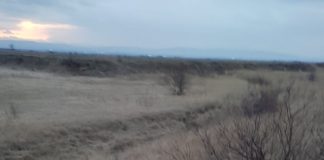 ULTIMA ORĂ Un șofer a ajuns cu mașina în râul Râmna