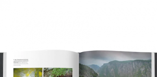 Povestea România Sălbatică: cel mai amplu proiect dedicat naturii românești