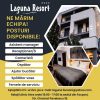 carton laguna