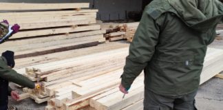 Polițiști din Vrancea, în acțiune de control în Covasna, în sectorul silvic