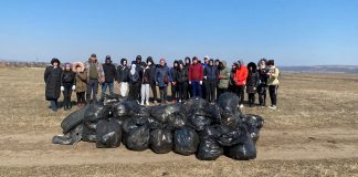 Acțiune de ecologizare, pe malul Siretului, la Adjud