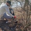ecologizare adjud siret 4