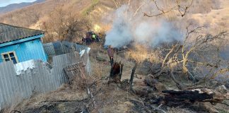 Incendii de vegetație pe Valea Milcovului