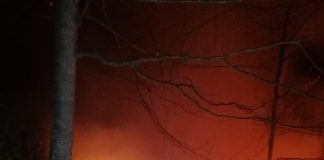 Incendiu de pădure la Tîrîtu și alte incendii de vegetație în județ/ Pompierii militari intervin împreună cu localnici, voluntari SVSU și salvamontiști