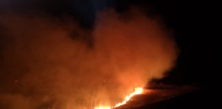 Stop incendiilor de vegetație! 15 ha de vegetație forestieră au ars la Reghiu